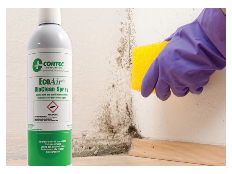 EcoAir BioClean Spray