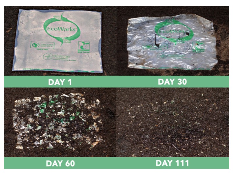 ECO FILM BIODEGRADABLE AND COMPOSTABLE FILM
