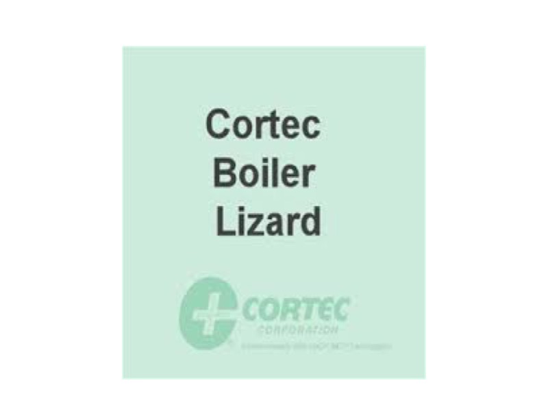 Boiler Lizard®