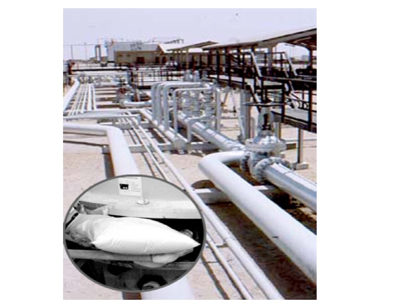 Cooling Tower Frog® 2 Bags/CTN